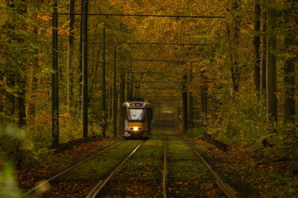 007 - Kreatief Overijse - Thomas Latine - Tram in herfstdecor